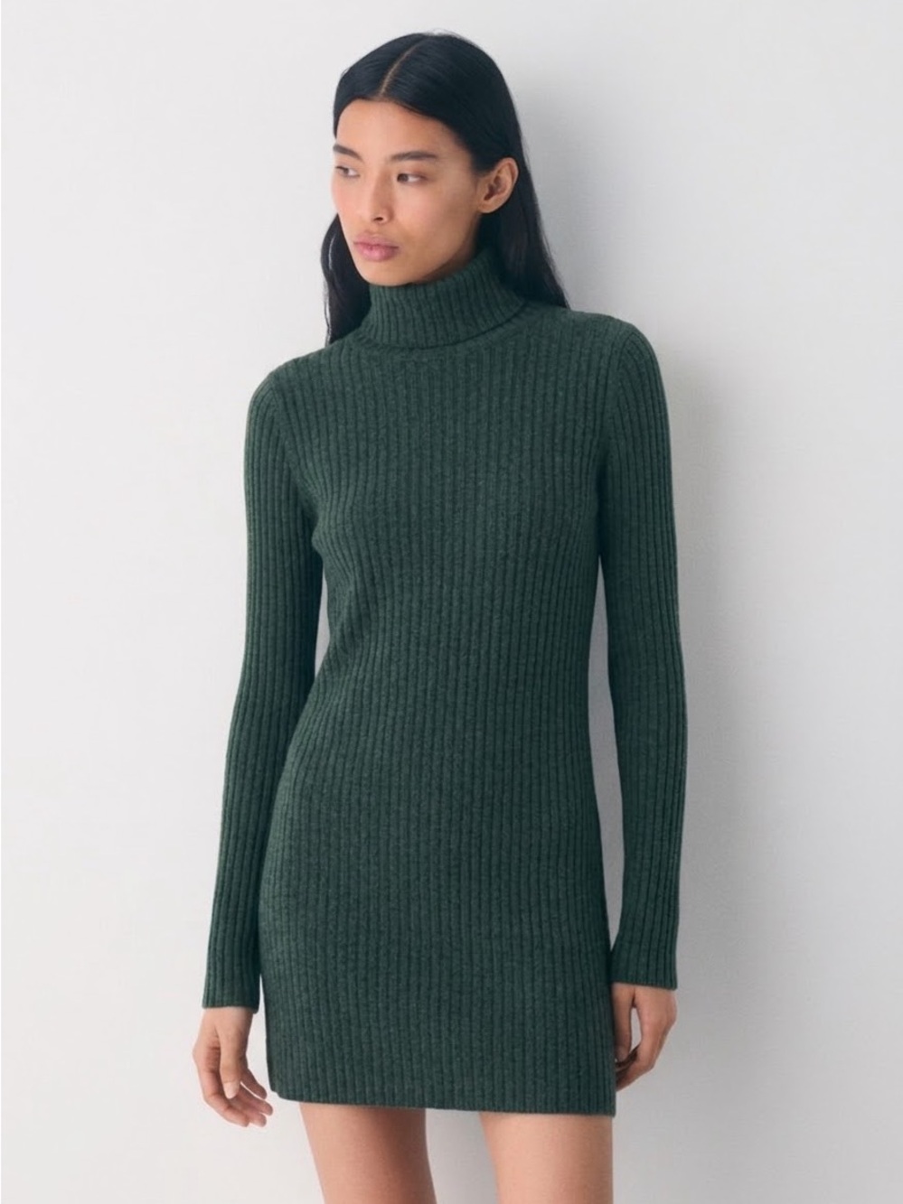WILFRED FREE Women's Mock Neck Ribbed Long Sleeve Dress - Dark Green, Large